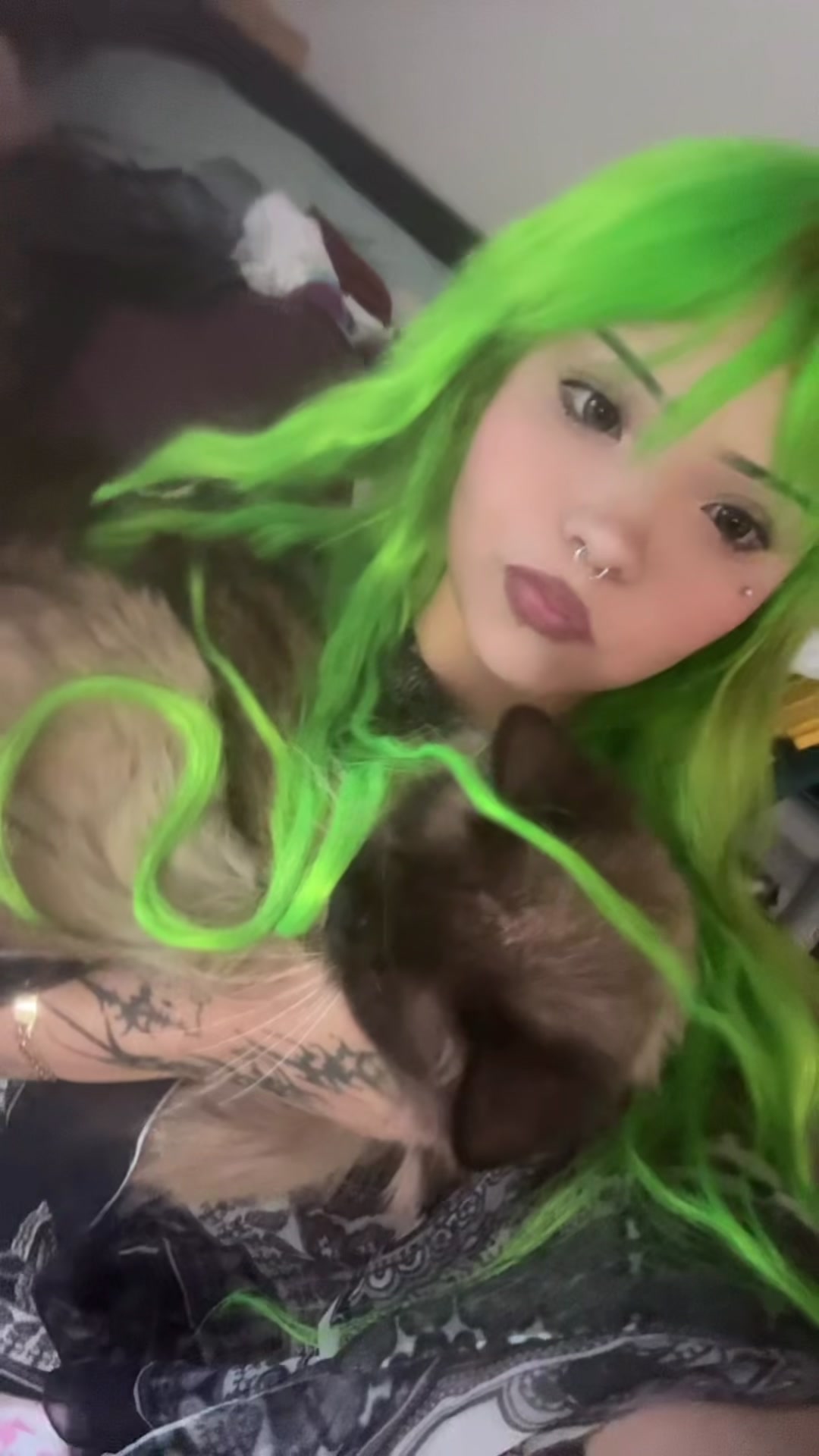 @ashisaliar