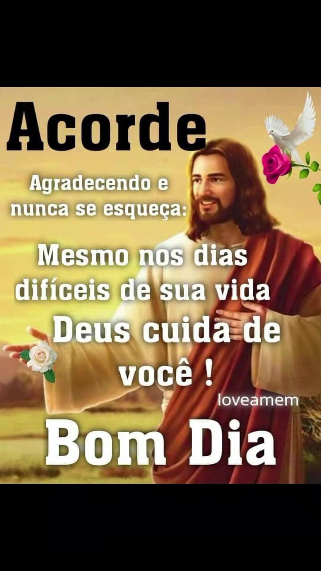 @Mirão