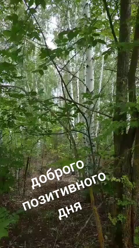 @Марина