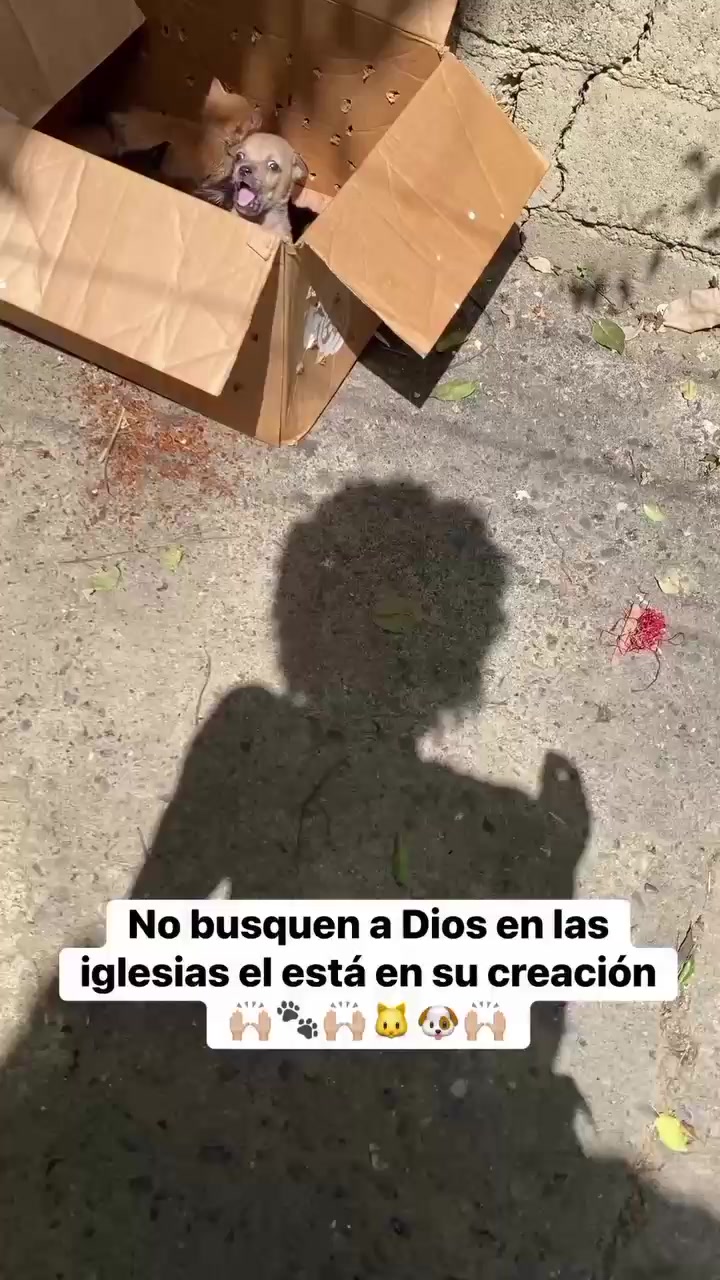 @varcan❤️