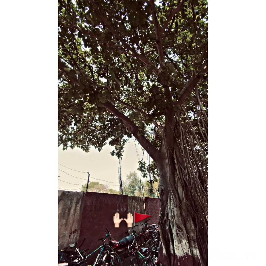 @Gujjar🔛🔝