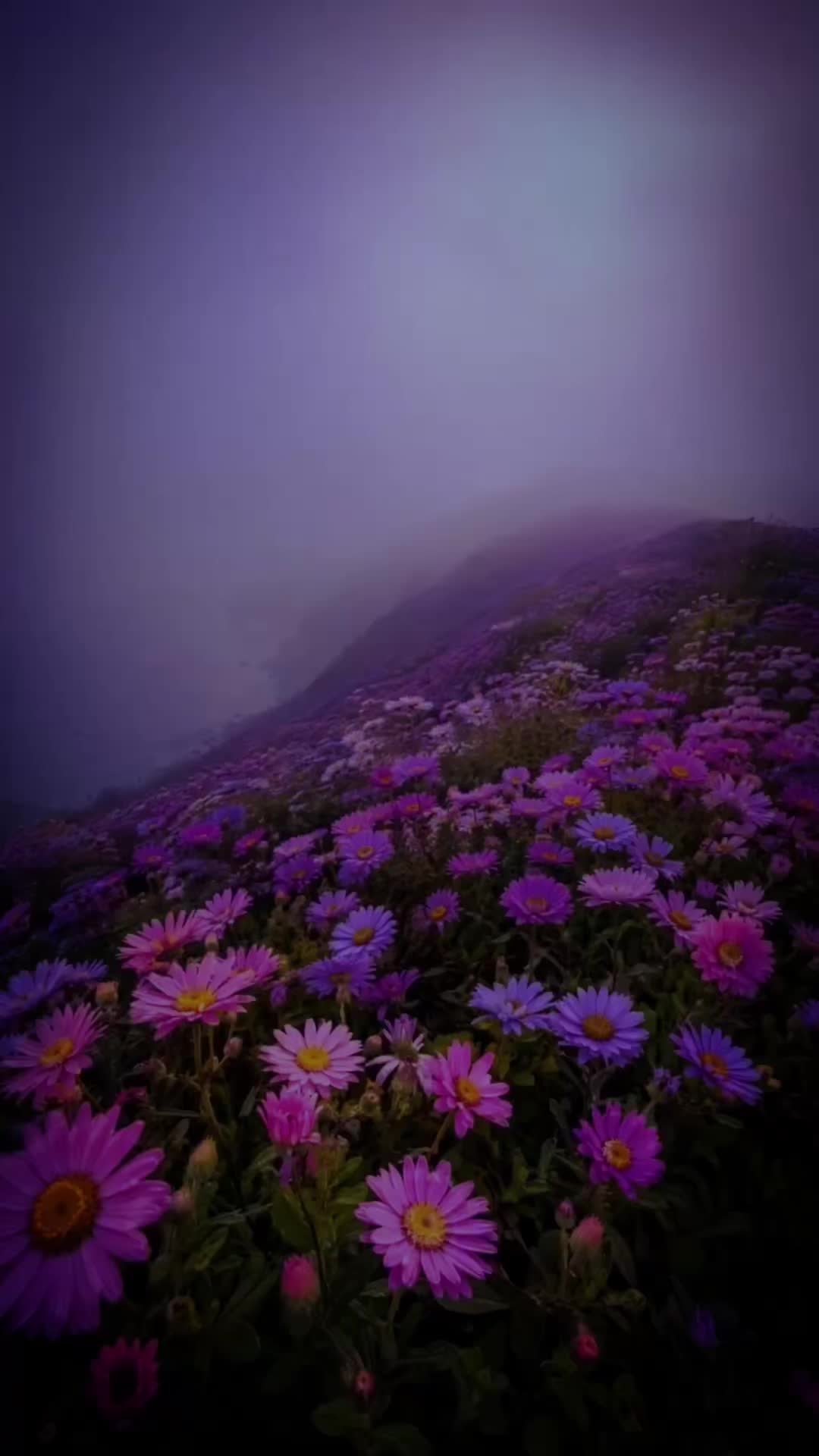 @💖𝙘𝙥𝙩𝙣_𝙩𝙮𝙥𝙞𝙚𝙨𝙩💝