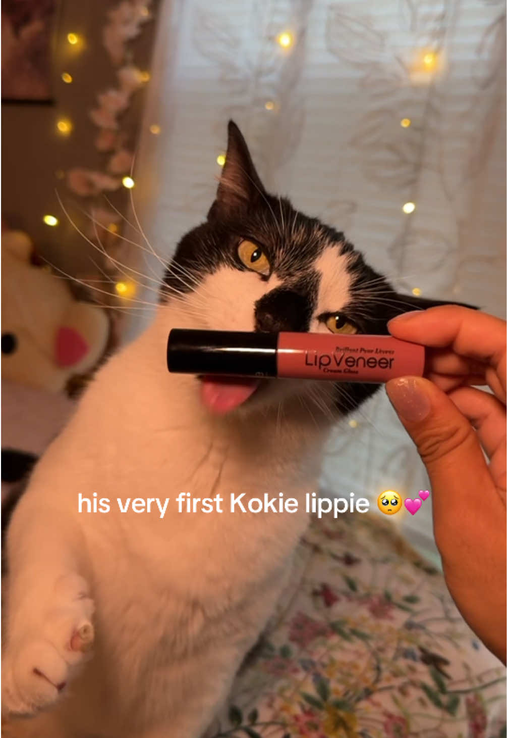 @Kokie Cosmetics