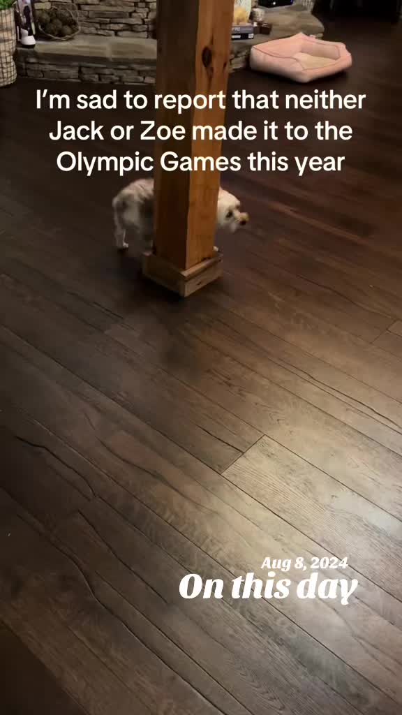 @fatjackandzoe