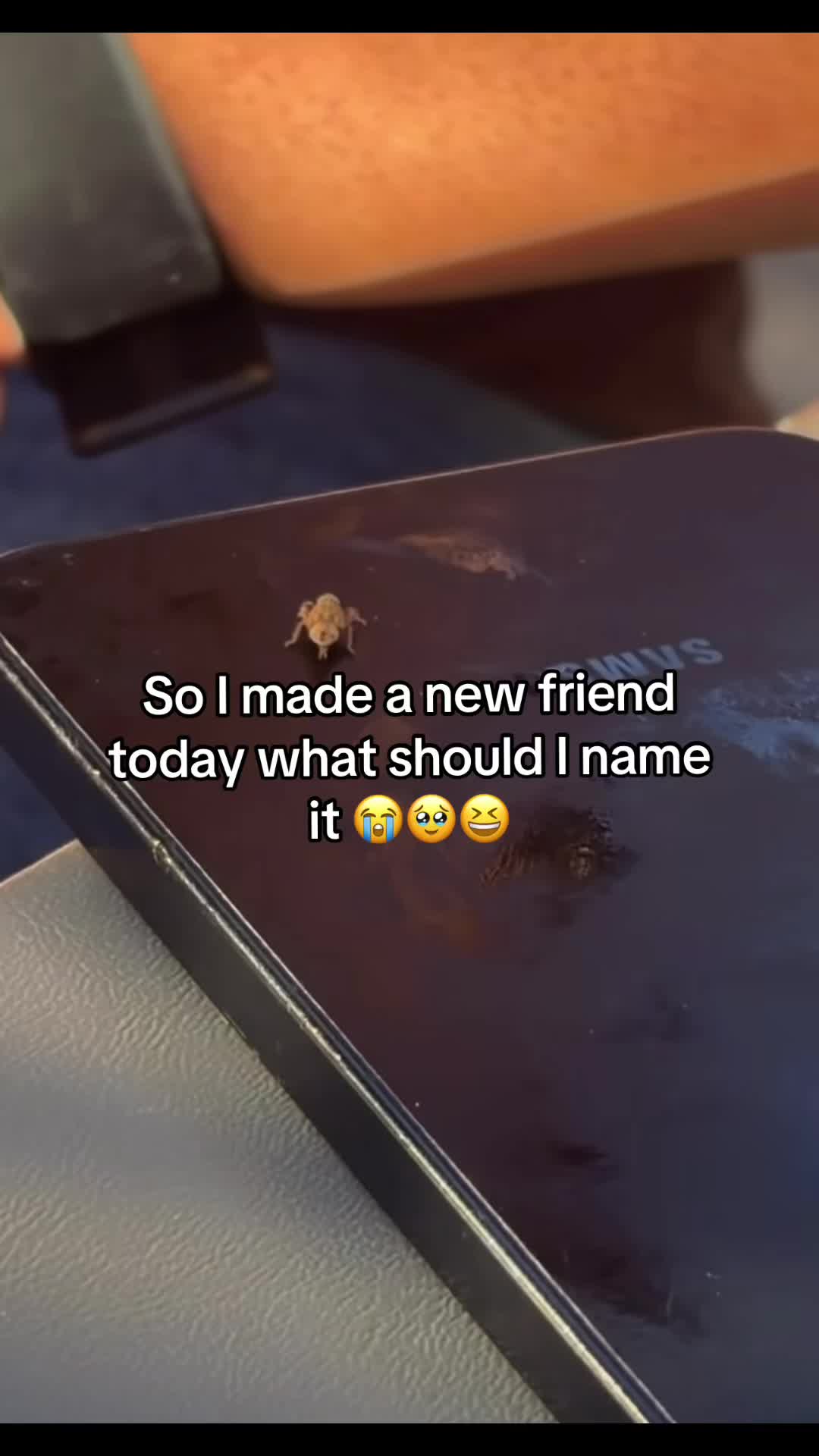 @Hxbitz