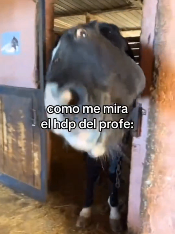 @Zeraot