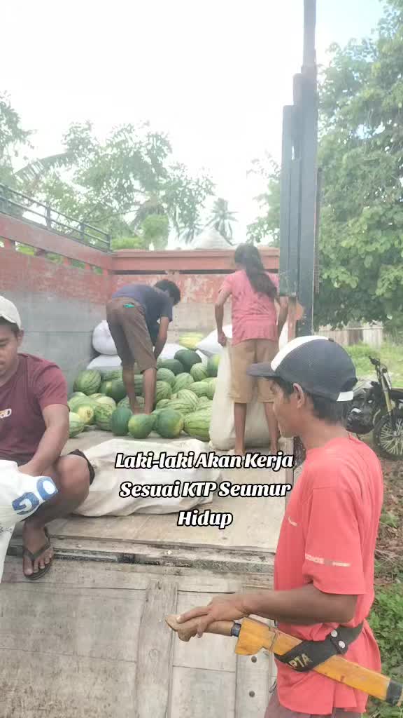 @Minak