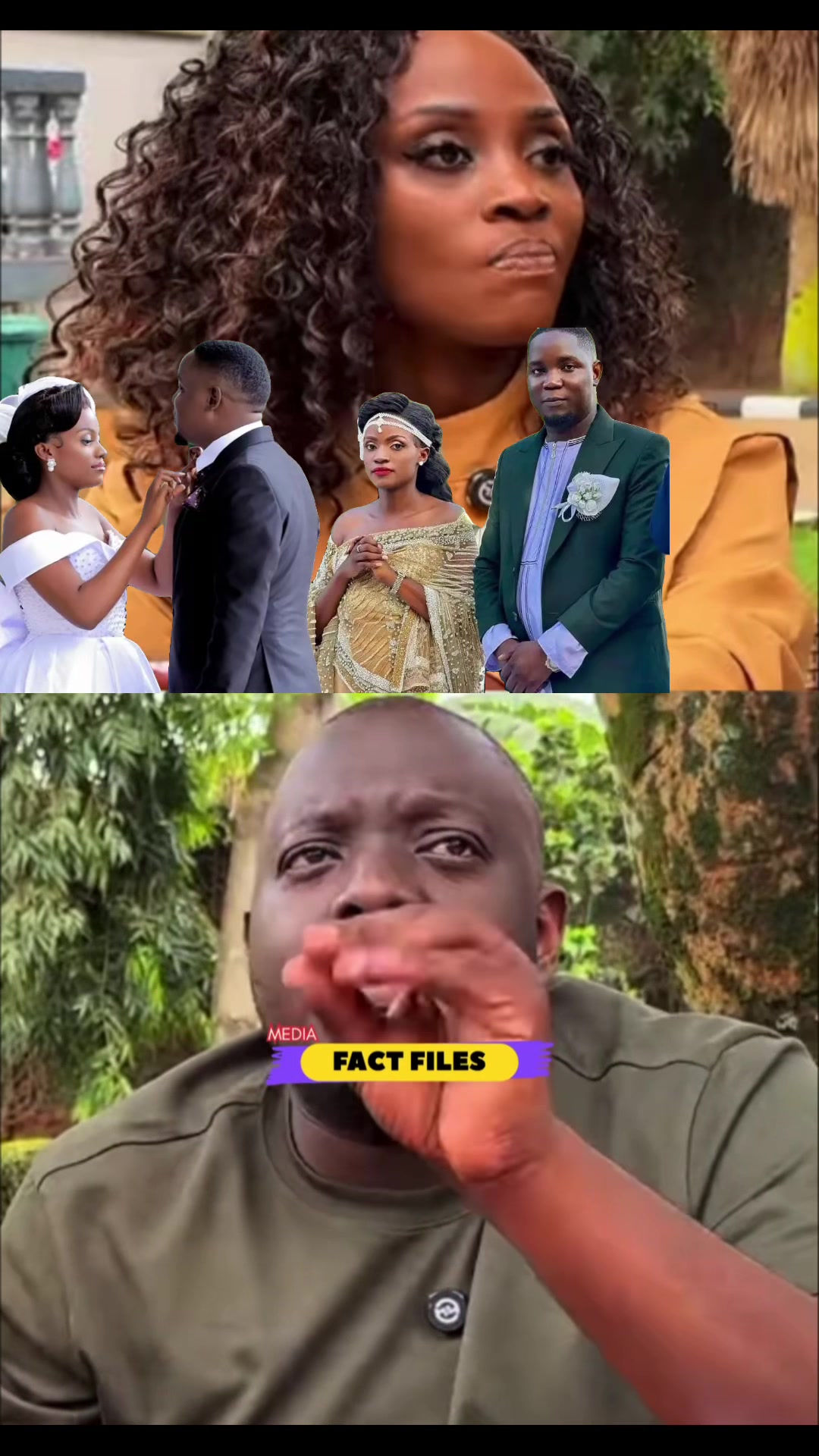 @FactFilesMedia