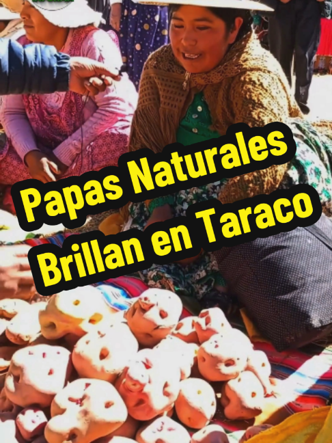 @Hilarion Bolivia Informa 🇧🇴