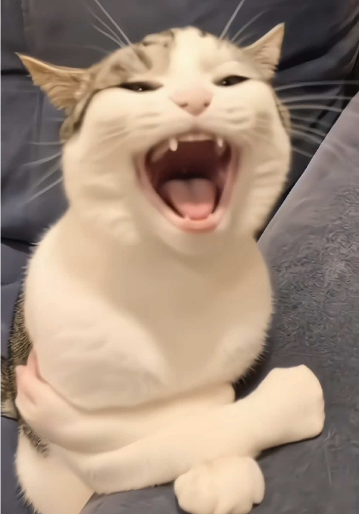 @𝗣𝗛𝗢𝗡𝗘 𝗘𝗫𝗖𝗛𝗔𝗡𝗚𝗘𝗥