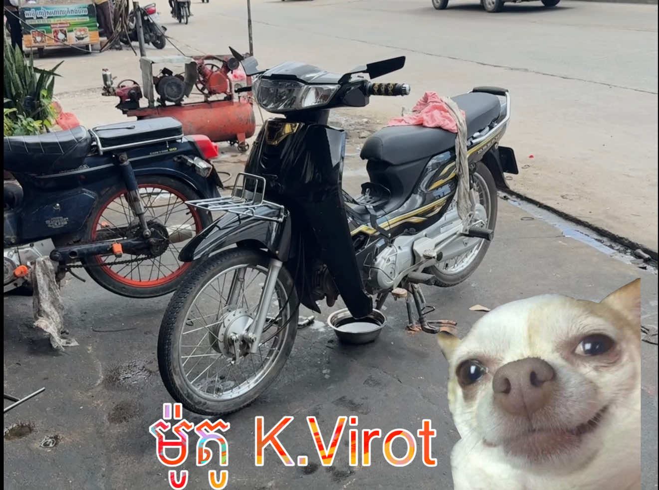 @K.Virot 🤪
