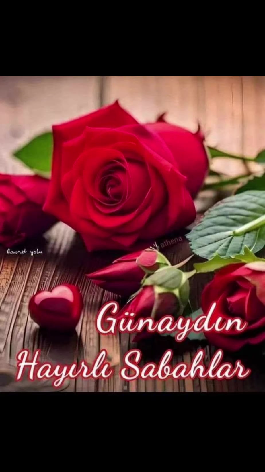 @MEVLÜT 0816