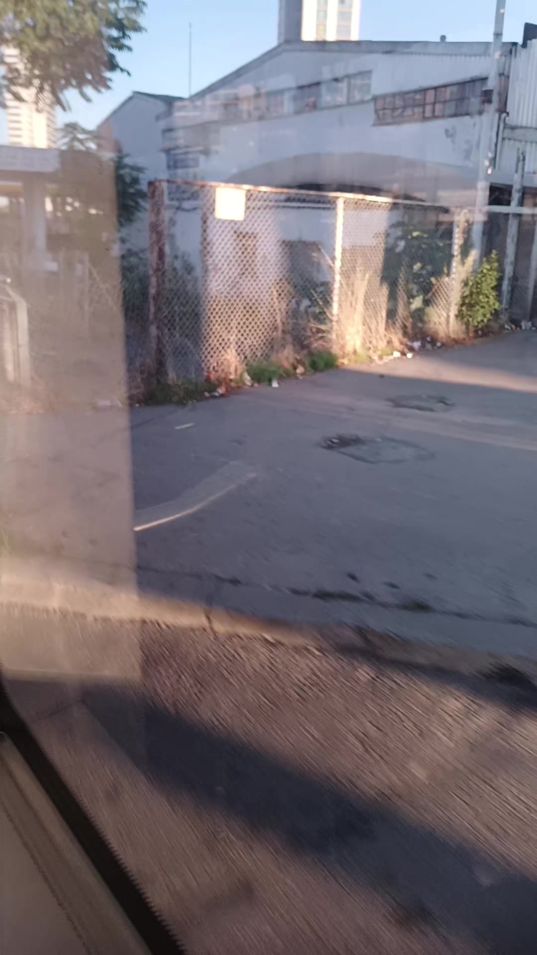 @mav&icirc;ş