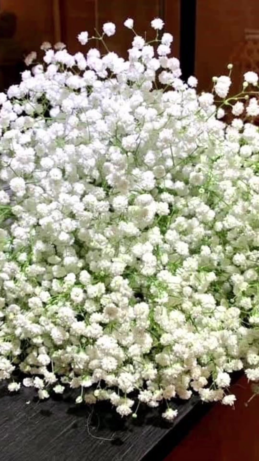@Changchangtrang flower