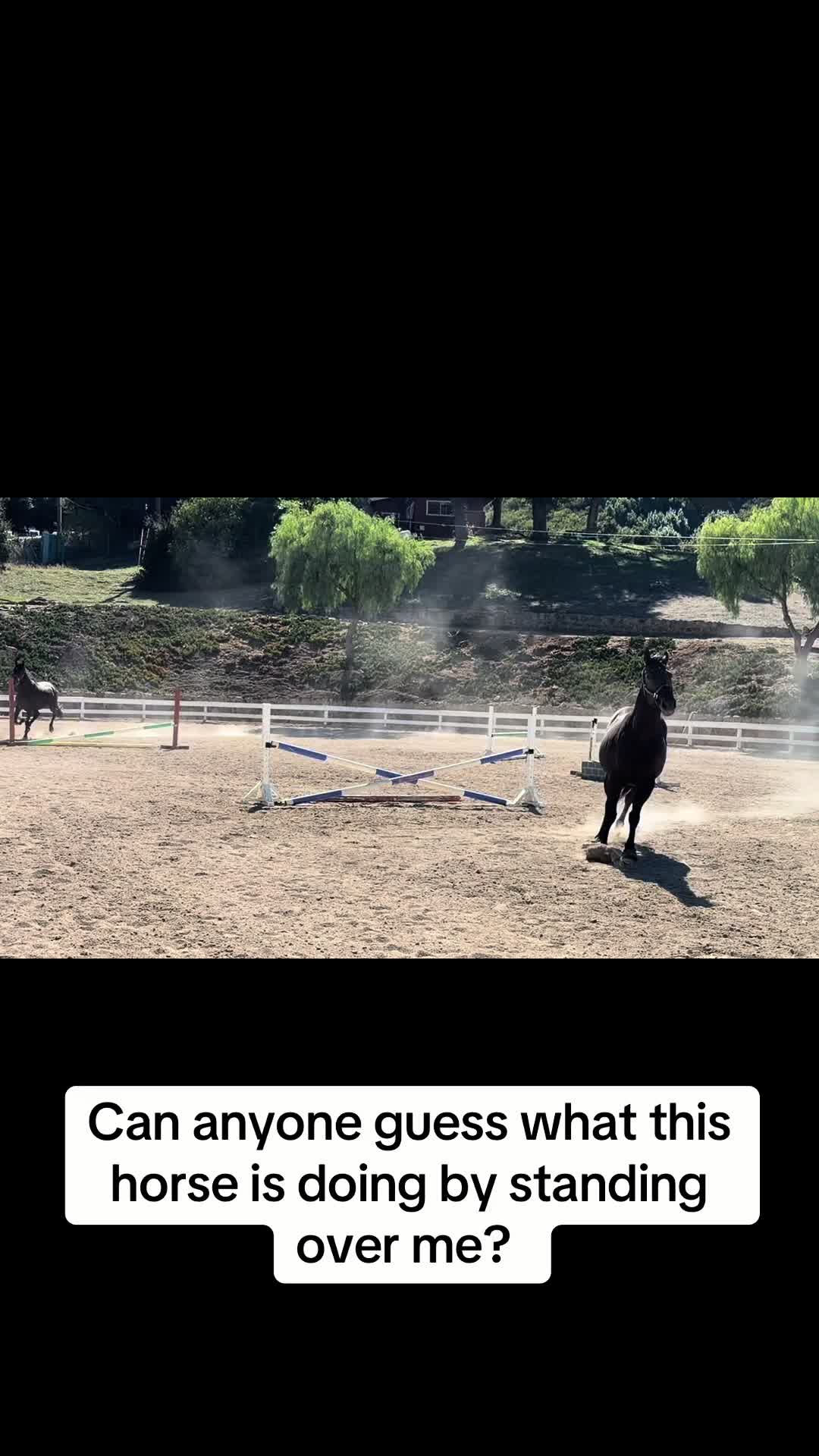 @runswiththeherd