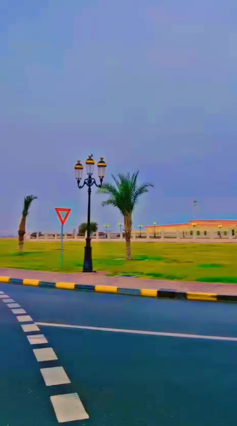 @hammad barkii