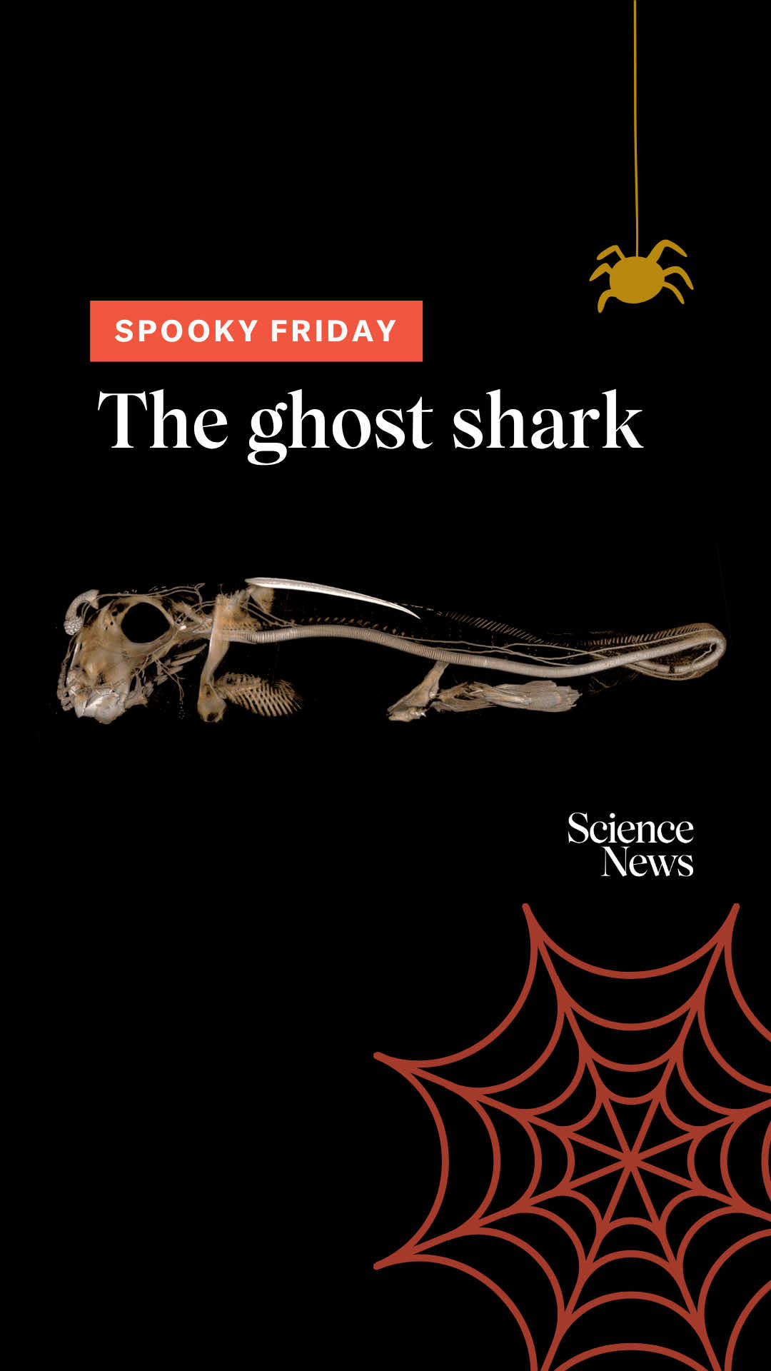 @Science News