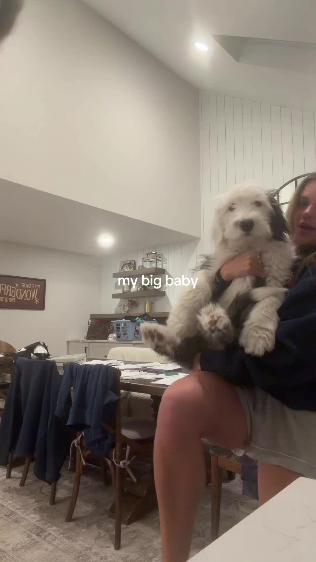 @ISABELLA RYAN