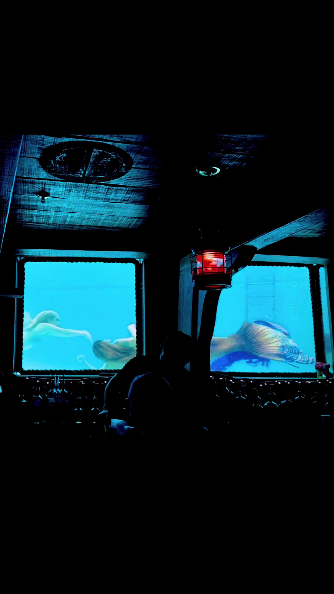 @Muse the Mermaid