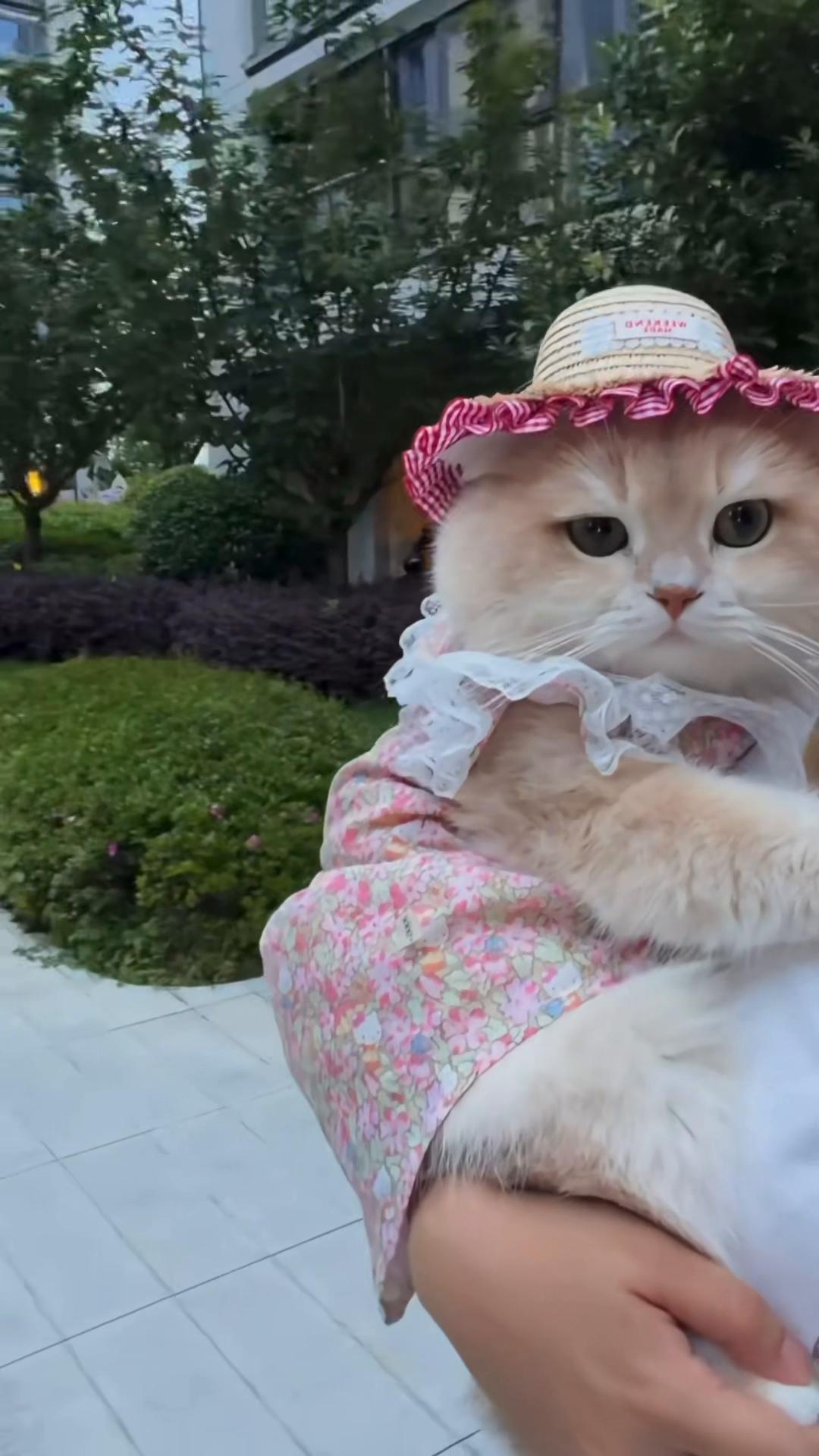 @My Daily Dose of Aww