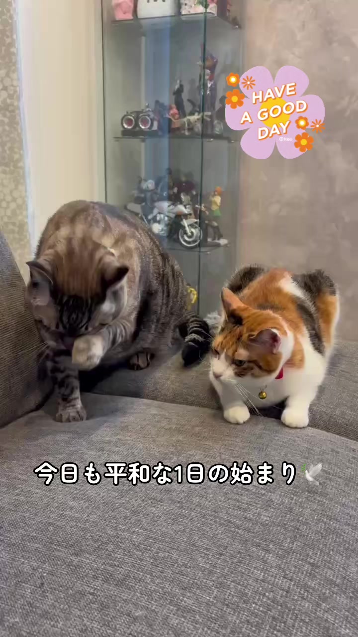 @ゆきりん