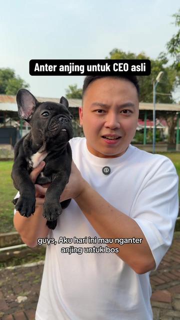 @Koko Guguk