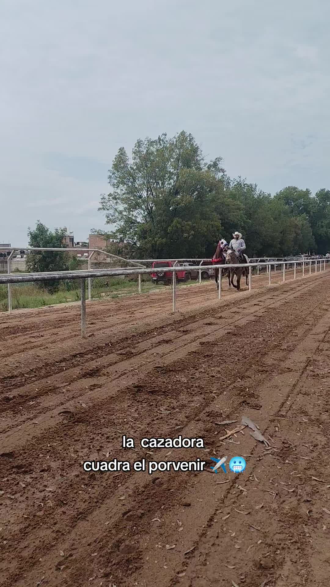 @carriles altos de jalisco🐎