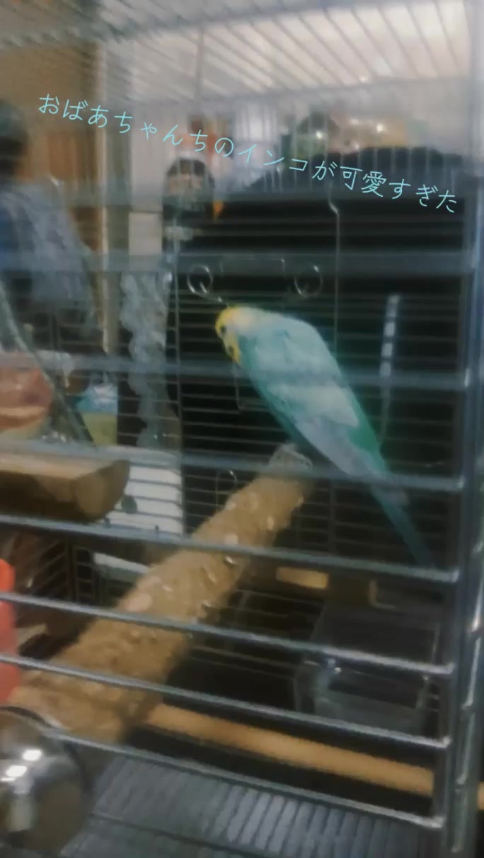 @ノリ最強 (ブロスタ)