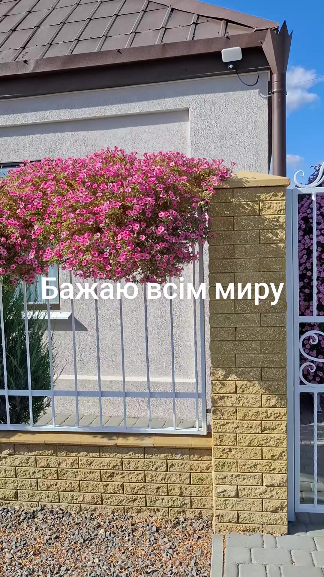 @Божена