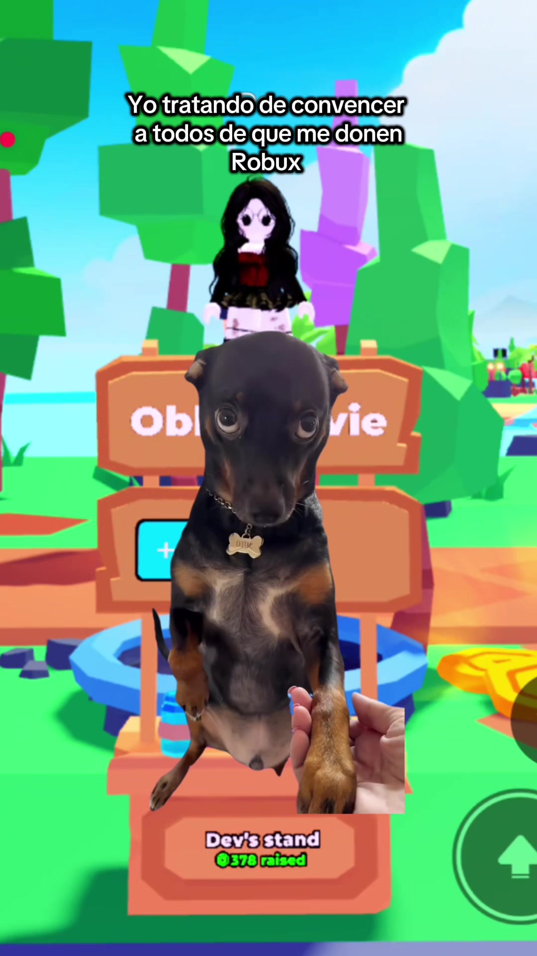 @obby_dovie