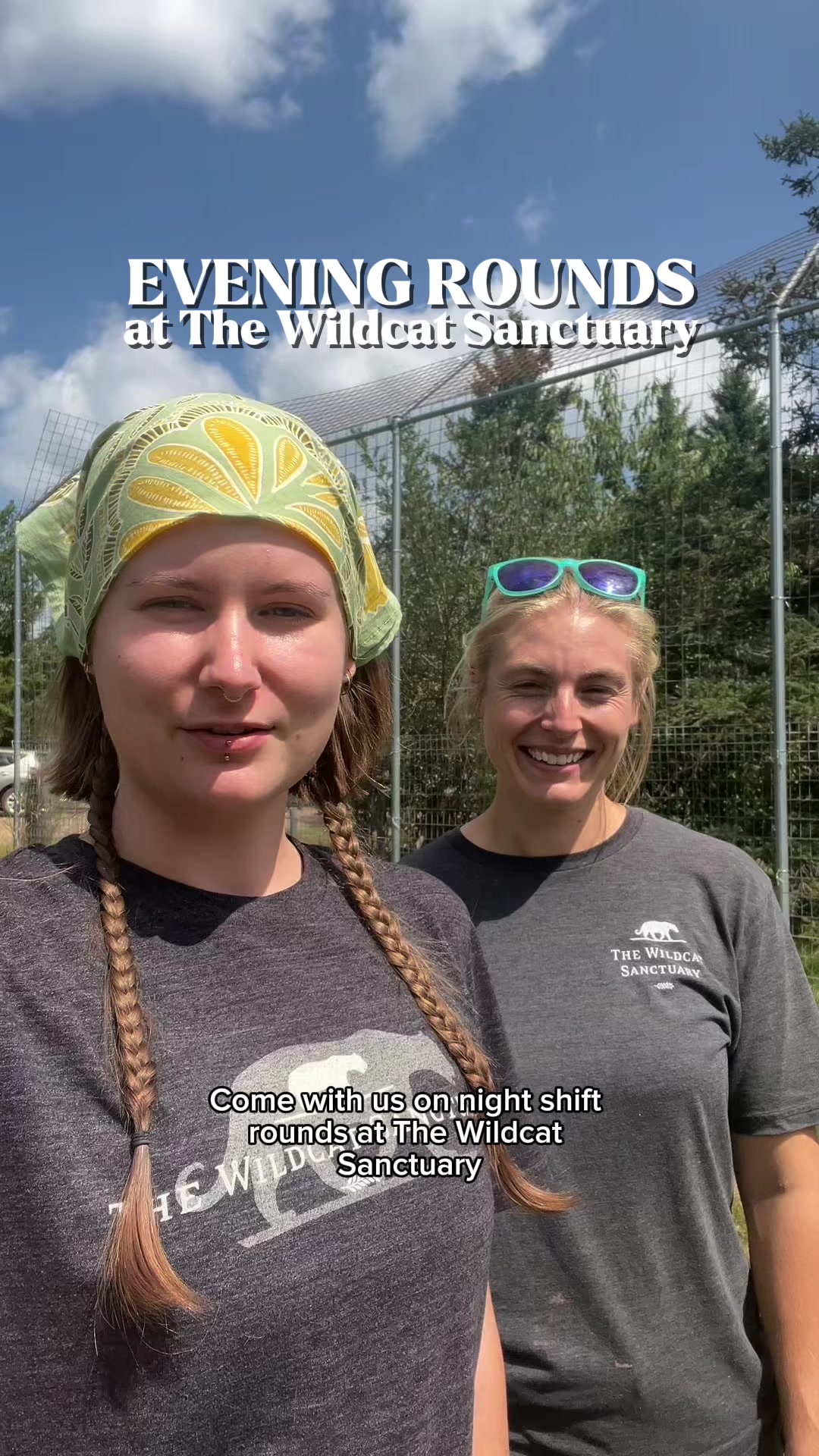 @The Wildcat Sanctuary