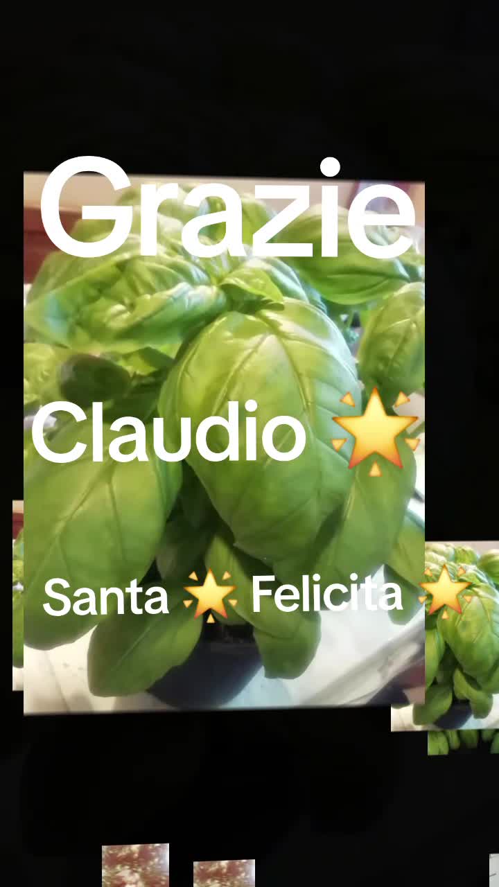 @Claudio Santa Felicita