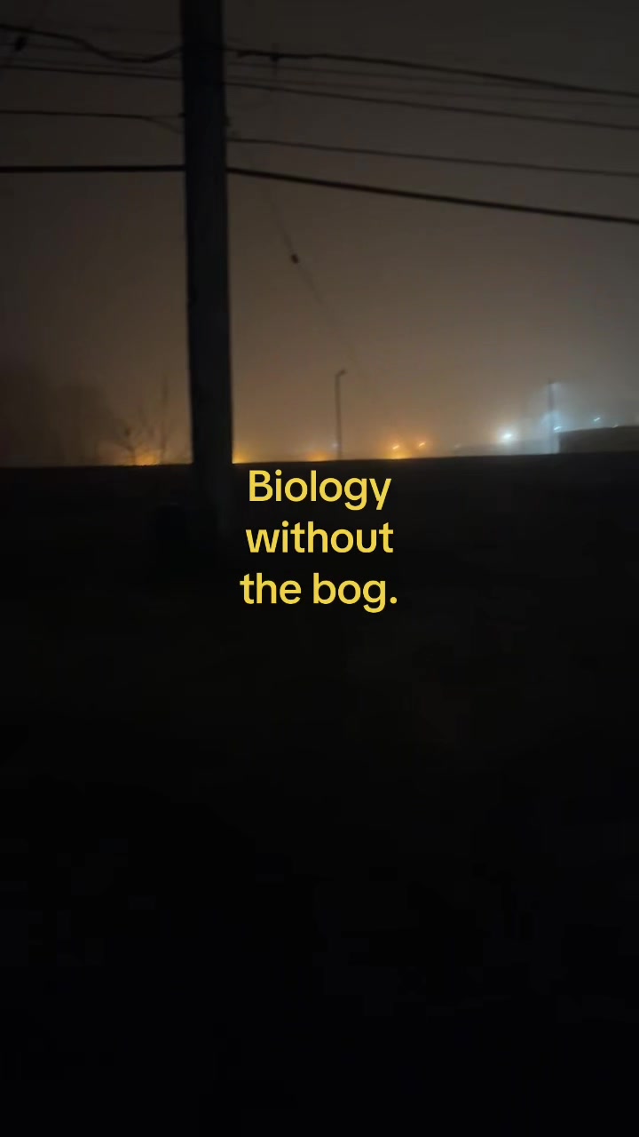 @harlyfn