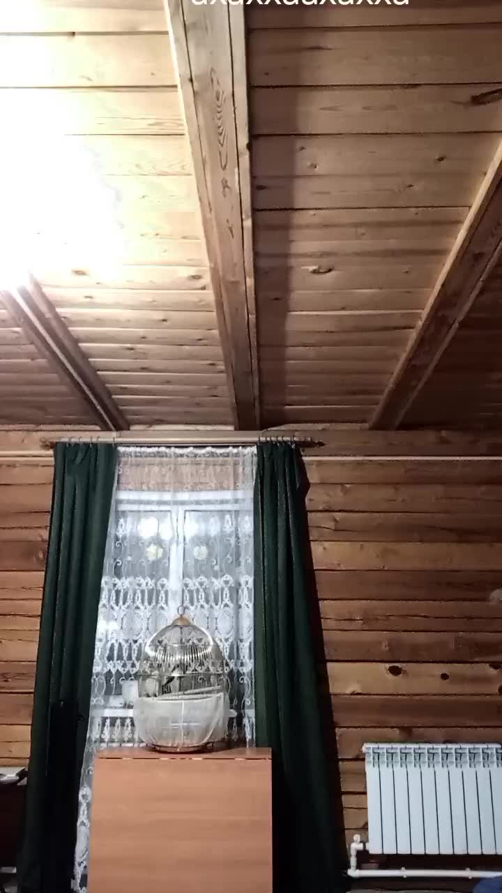 @Госпожа Виктория 💗🫐