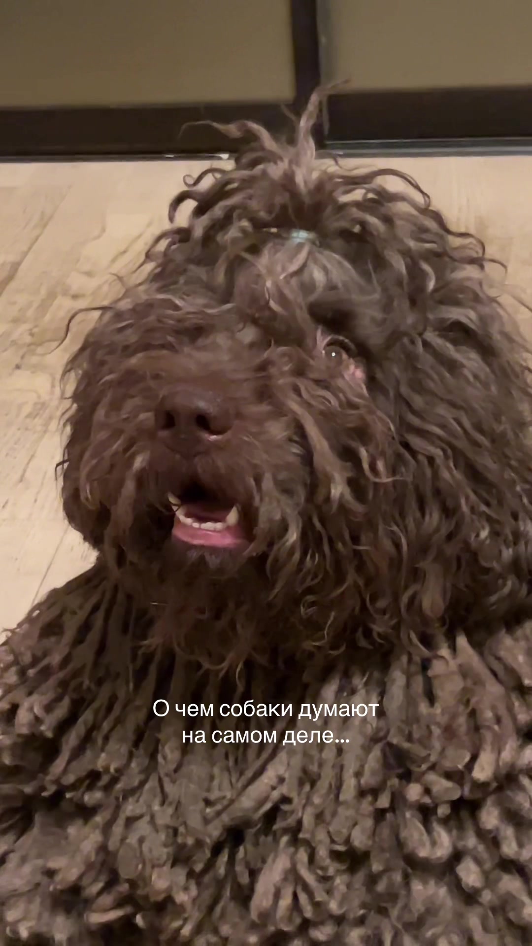 @Хлебобулочное