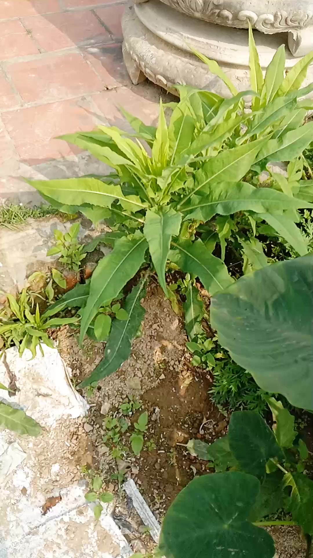 @thương công sức khỏe