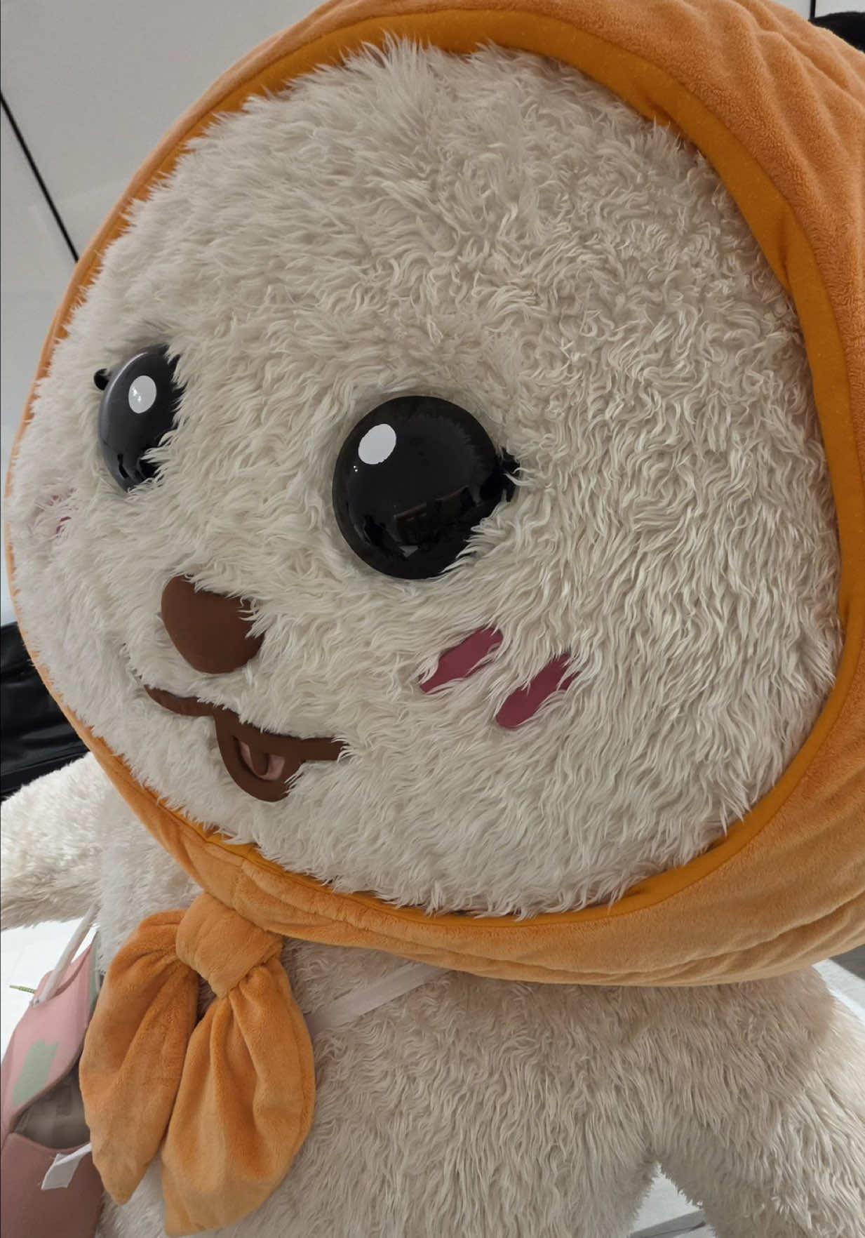 @tuffthefox🦊