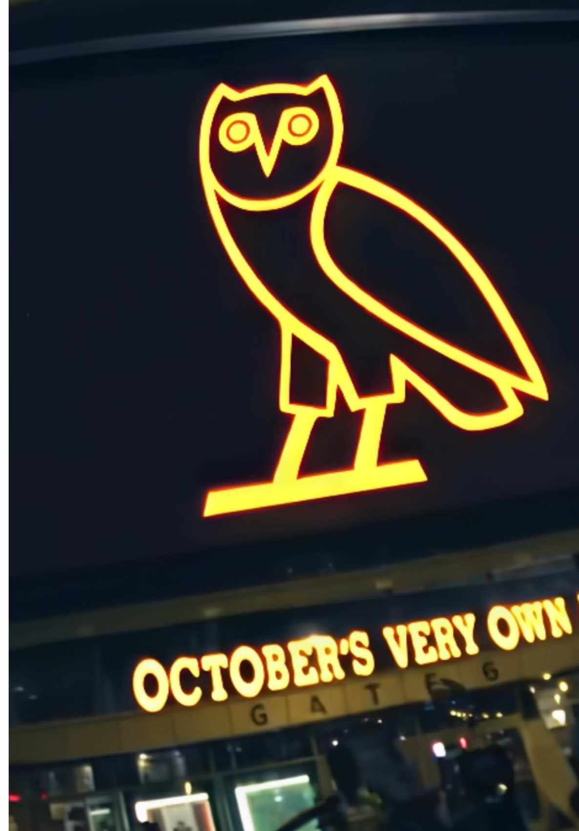 @🦉