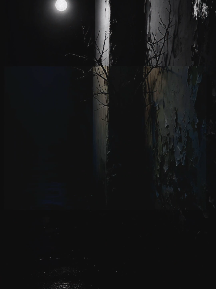 @𝐓𝐫ạ𝐦𝐌𝐮𝐬𝐢𝐜🎧