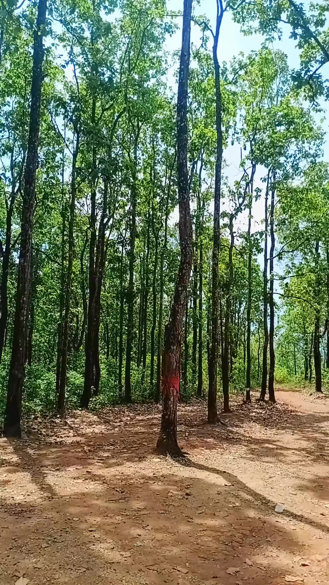 @R.P.N.(Arjun)
