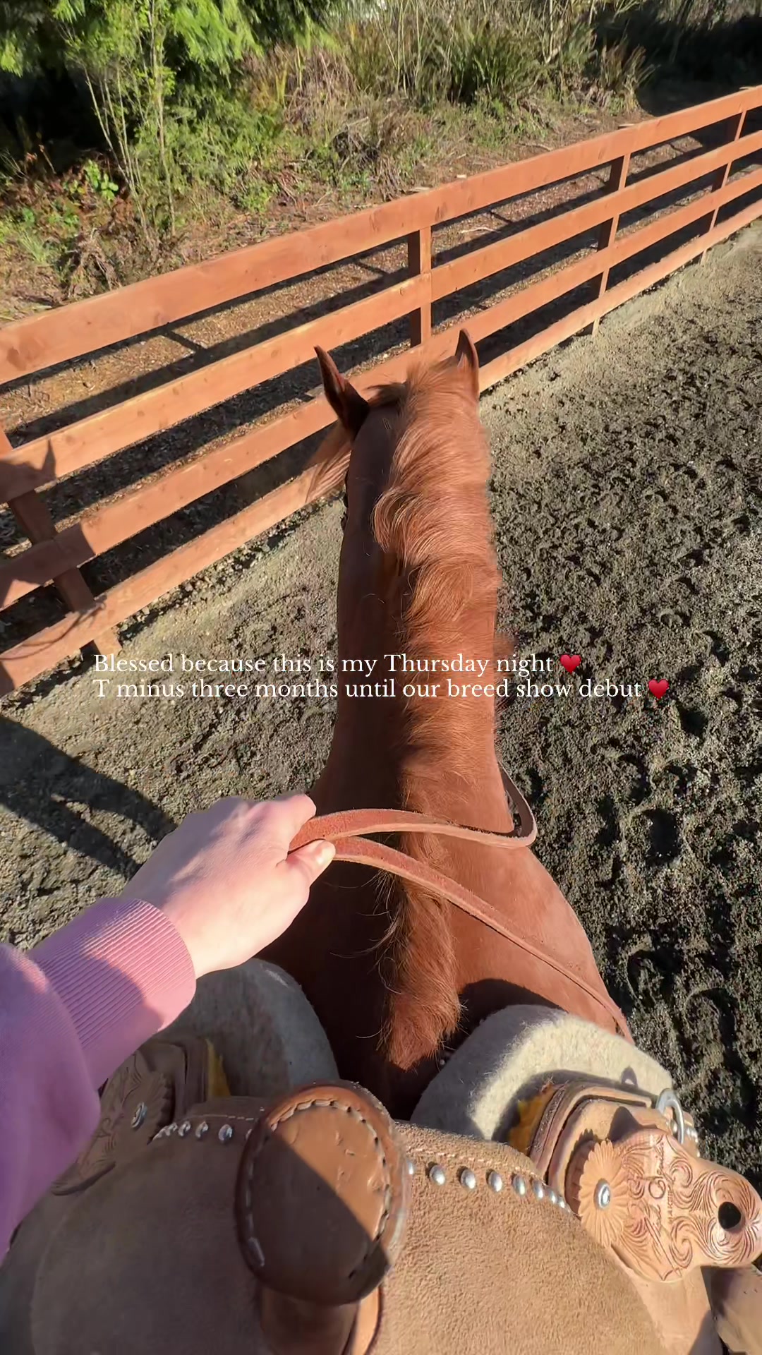 @Cait | Red Mare Owner