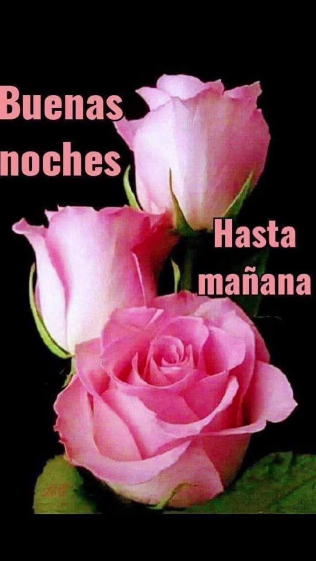 @elvirasvg