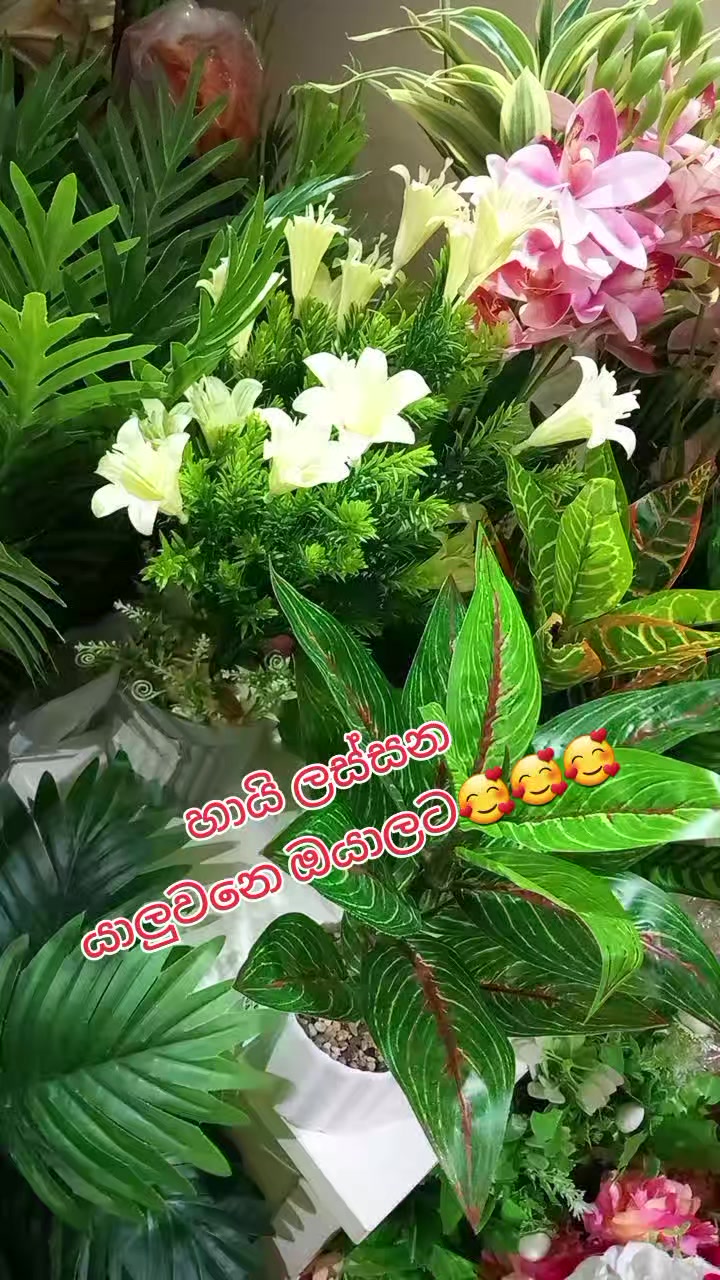 @💞💞ASR,RANJINI.❤❤💜💜