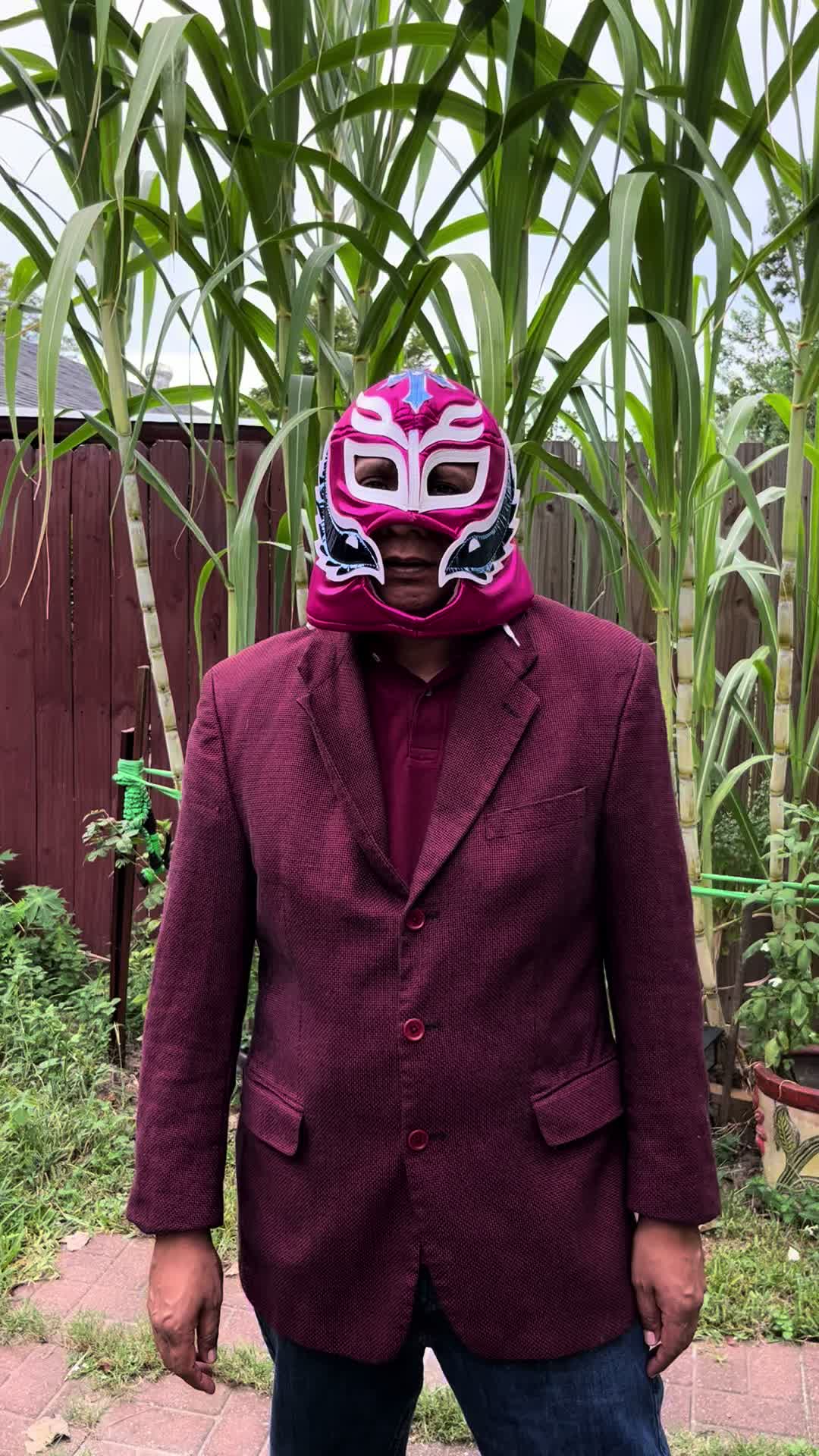 @El Guerrerense MX