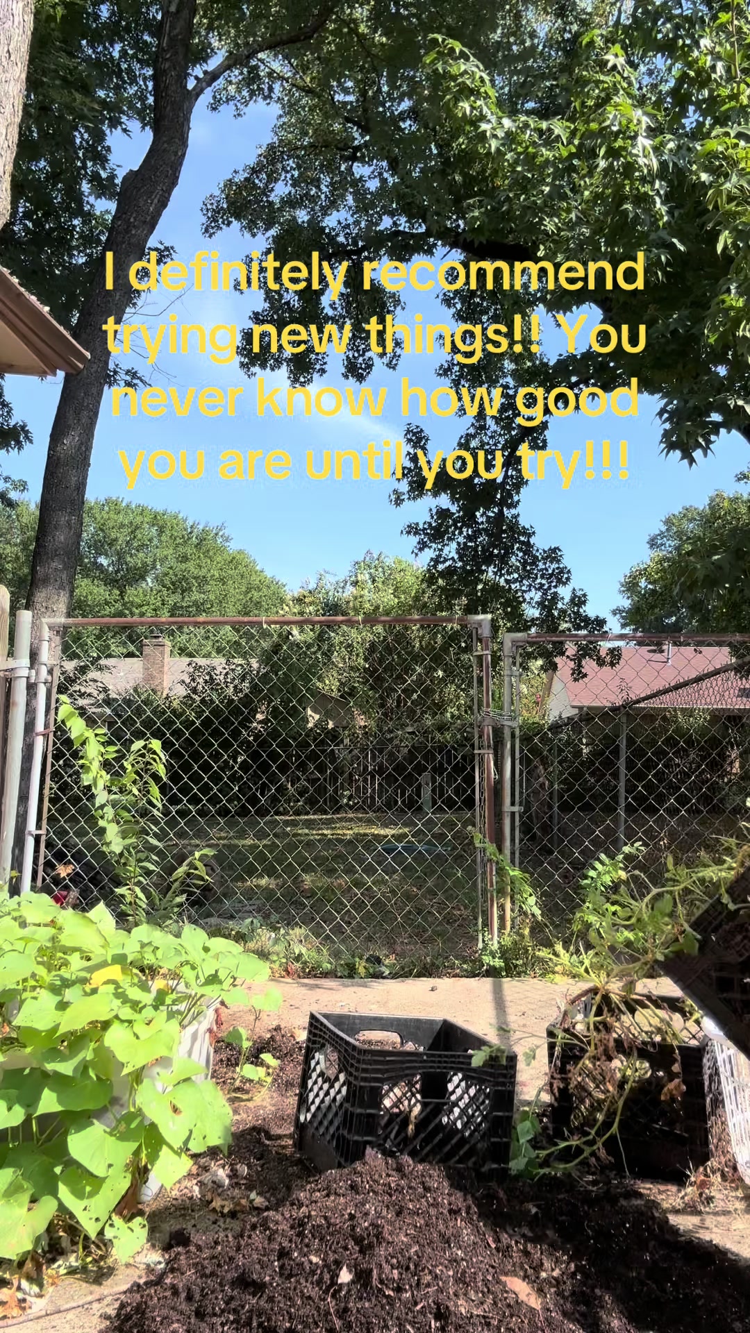 @Tami