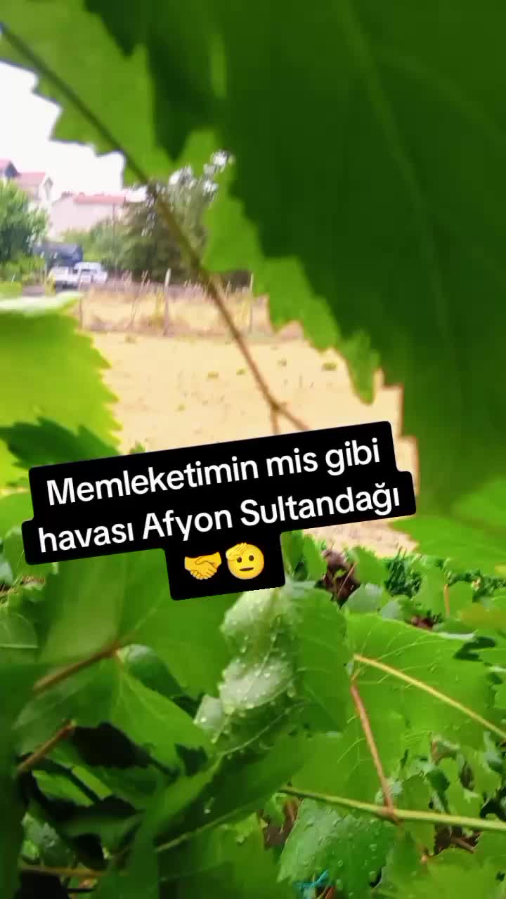 @İlkay baran