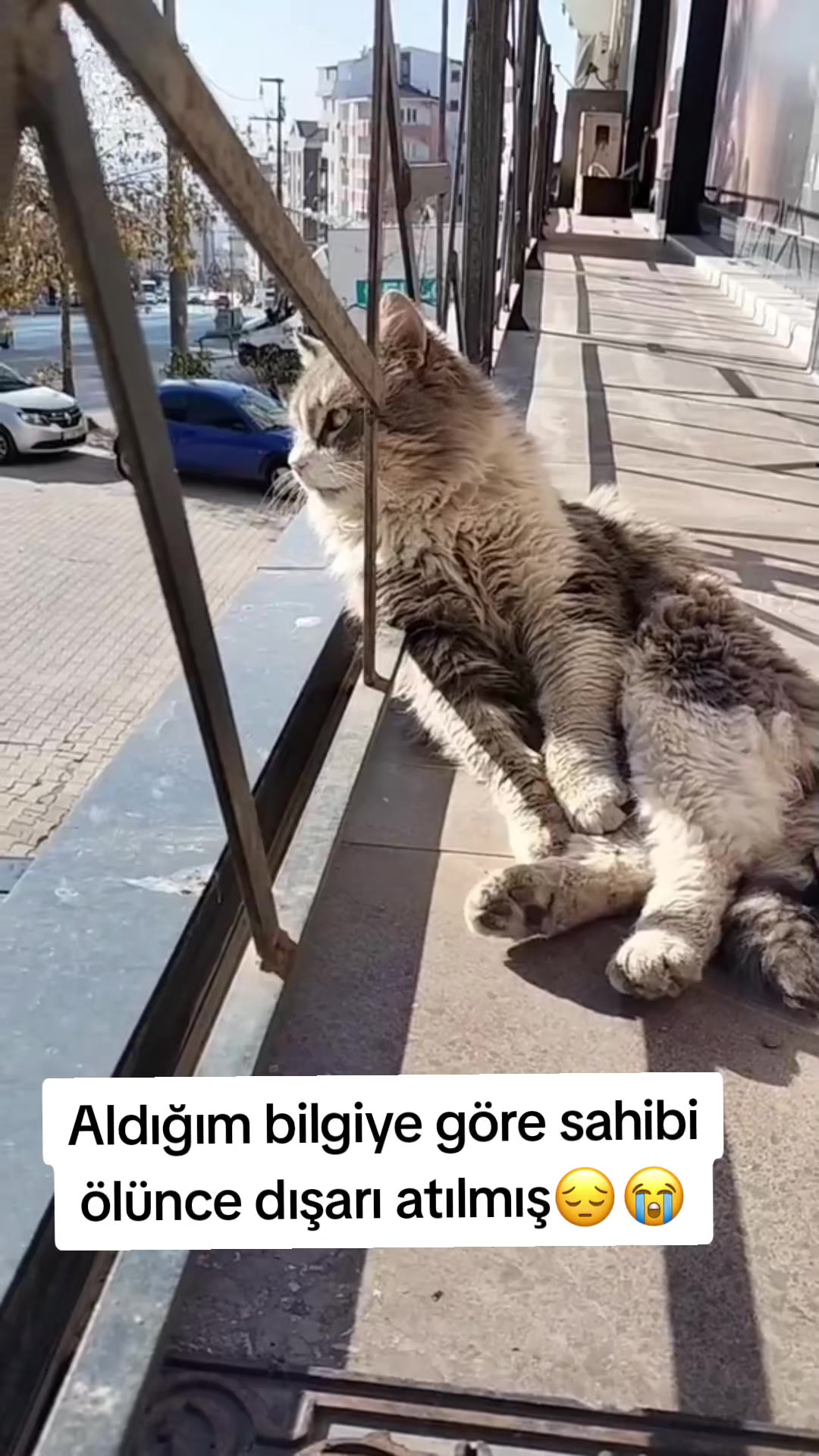 @MUSTAFA38