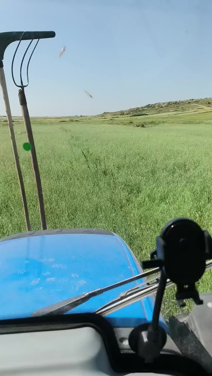 @Göksal Güneş
