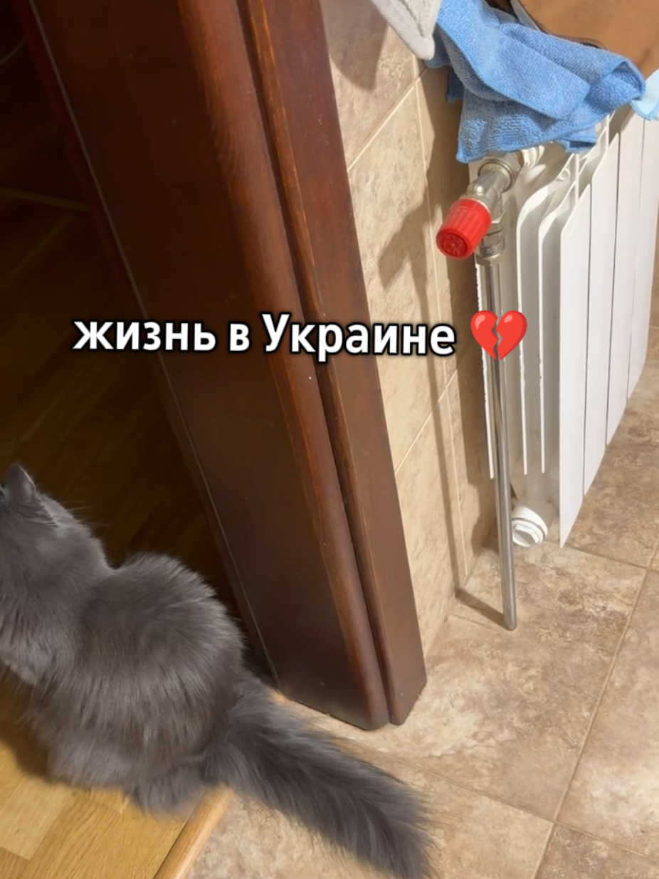 @Феликс & Кото-Семья