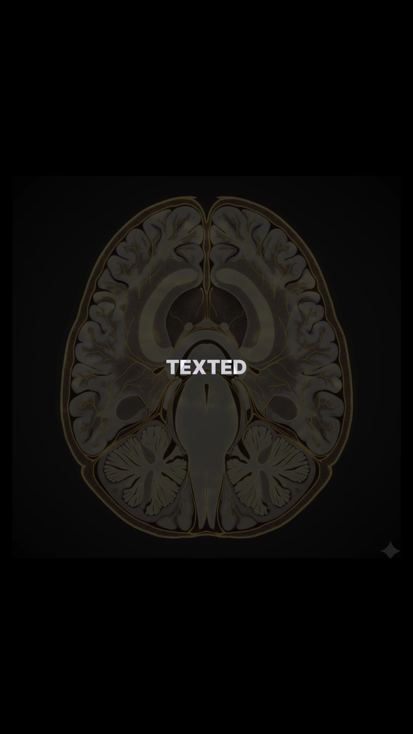 @NeuroWhisper